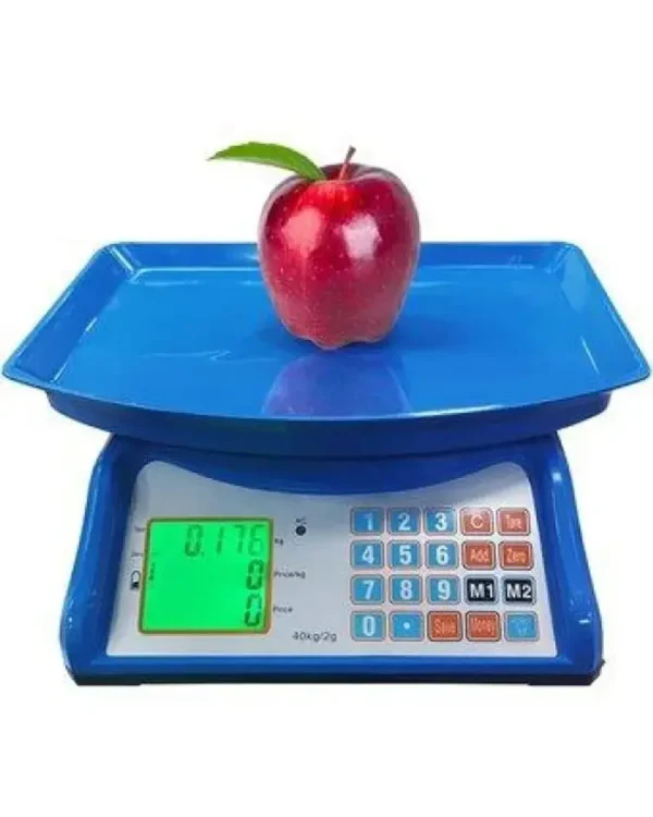 BALANZA 40 KG BANDEJA DE PLASTICO - Imagen 2