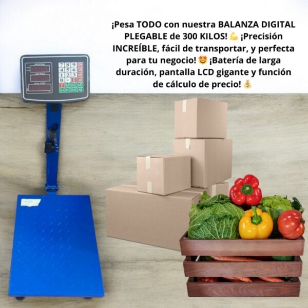 BALANZA PESA DIGITAL 300KG TIPO PLATAFORMA - Imagen 12